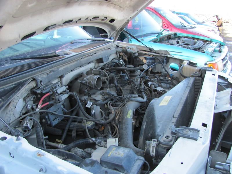 1997 F150 5.4 and 1999 F250 5.4 Ford Truck Enthusiasts Forums